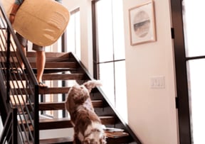 Andersen Windows 400 sunny | Berkeley Exteriors